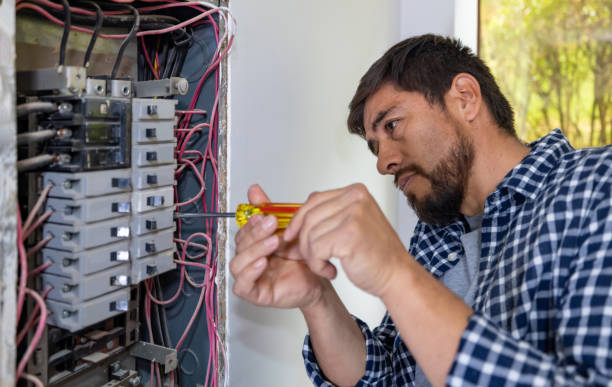 Best Electric Panel Repair  in Eagle, ID